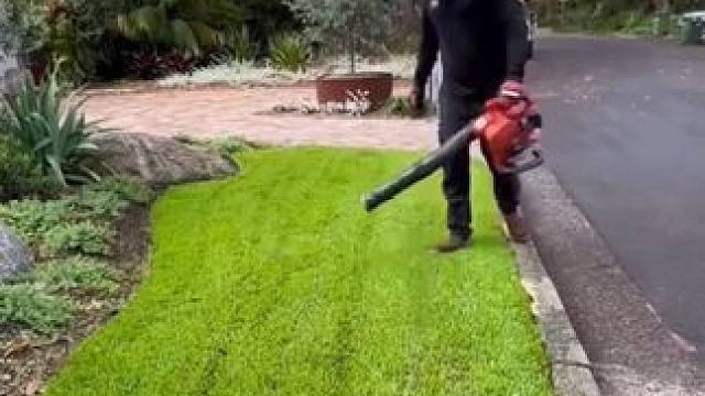 园林修剪绿化工程。 #绿化养护 #园林修剪 #解压 #解压视频 #解压神器