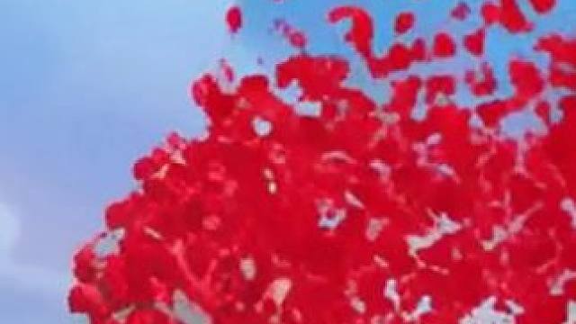 “宿主攻略失败，即将抹杀”#粒子消散变装  #花半小时退场太有感觉了 #香肠派对周星星 #香肠派对