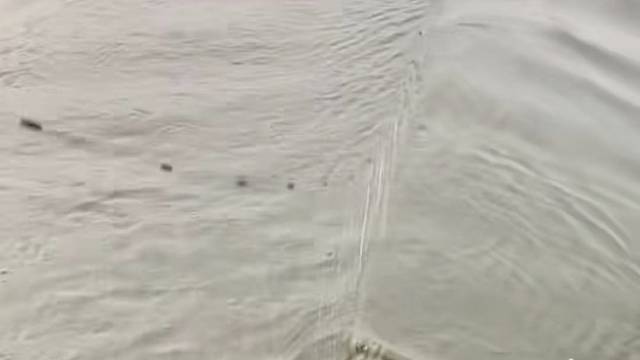 #户外捕鱼大队 #捕鱼河边随拍 #捕捞现场  #丝网捕鱼