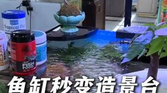 这个新版的鱼缸置物架，相比老款面积更大，置物更稳，颜色更多！ #鱼缸置物架 #鱼缸 #鱼粮 #水培植