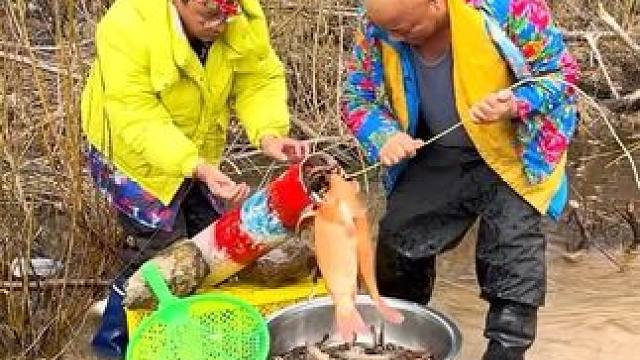#抓鱼的快乐