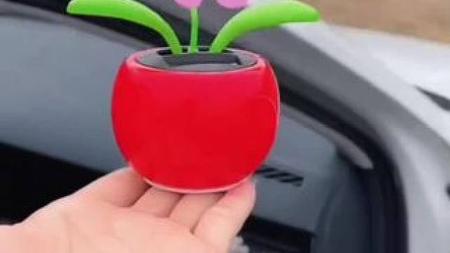 #创意#高端大气！美好心情需要美好事物来治愈，自动摇摆的苹果太阳花，看着心情就很愉快 ！寓意美好！ 