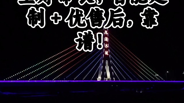 桥梁点光源安装便捷省时间，抗震性强适桥梁，防水防尘寿命长，智能定制   优售后，靠谱#道路照明拉索灯