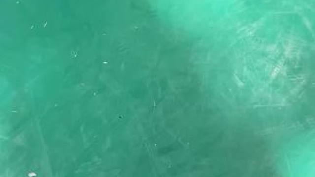 他开的球有可能比你好#羽毛球 #享受羽毛球带来的快乐