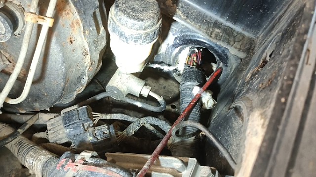 汽车进水进老鼠