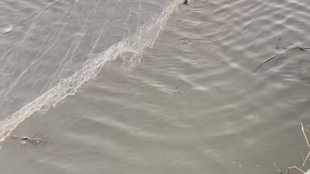 #户外捕鱼大队 #捕鱼河边随拍 #捕捞现场  #丝网捕鱼