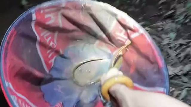 鱼竿不仅仅可以钓鱼，鳝鱼也是鱼