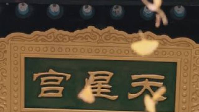 谢怜不是变了，是真的吃了太多苦阿…… #天官赐福 #配音 #猫耳fm