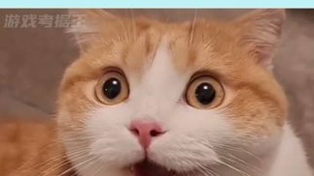 这合理吗 #深度 #绘本