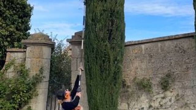 绿化带王者之路！ #解压#解压视频#神奇的闲鱼##吃喝玩乐先上闲鱼# #闲鱼省钱神券#