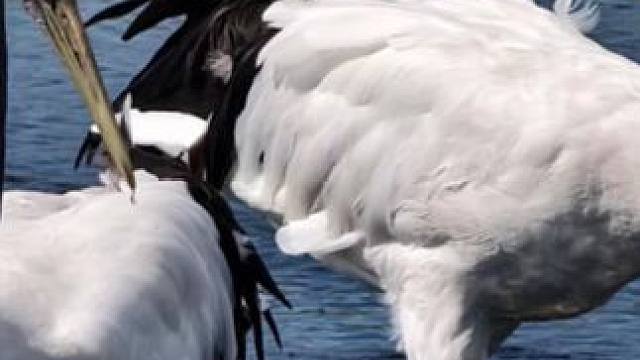 挑战随机摇一镜到底 欢迎评论区分享你手机相机里面拍的照片#记录生活 #随手一拍都是美景 #治愈系风景