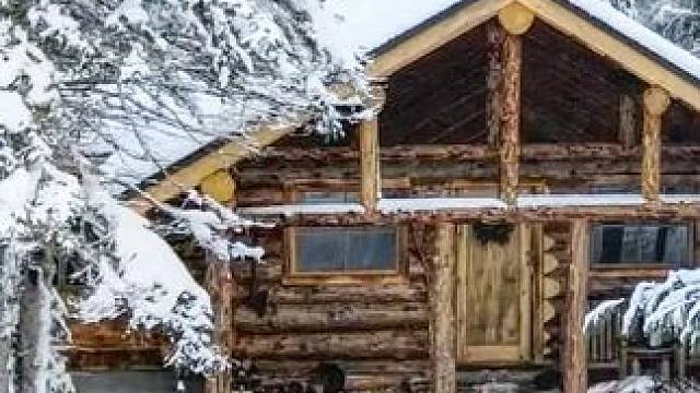 第二集，夫妻俩搭建森林木屋，全程自己动手，超级解压 #野外建造  #荒野建造  #野外生存