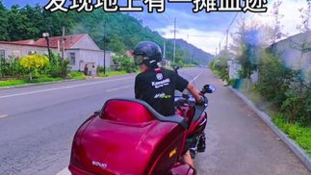 小家伙儿、我带你回家