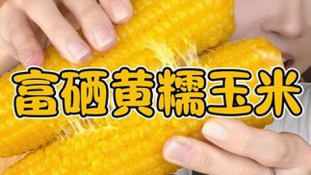 今天的黄糯是富硒黄糯玉米哦！到手十棒子，单棒在250g左右哈！这个玉米蒸煮出来不会水唧唧的，软糯糯的