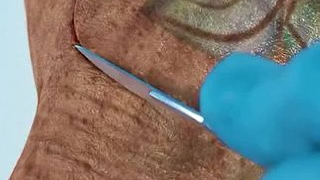 这些关于人体的秘密，你一定不知道！#科普一下#内容过于真实#涨知识#烟酰胺