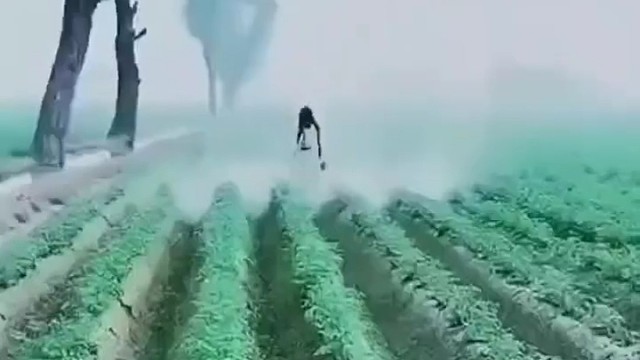 连鬼都想到了  就没想到是个人[捂脸]