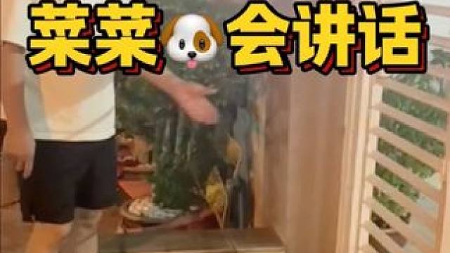 有人帮忙翻译吗？ 
#创作灵感 #小狗 #毛孩子的日常 #狗狗 #狗都成精了