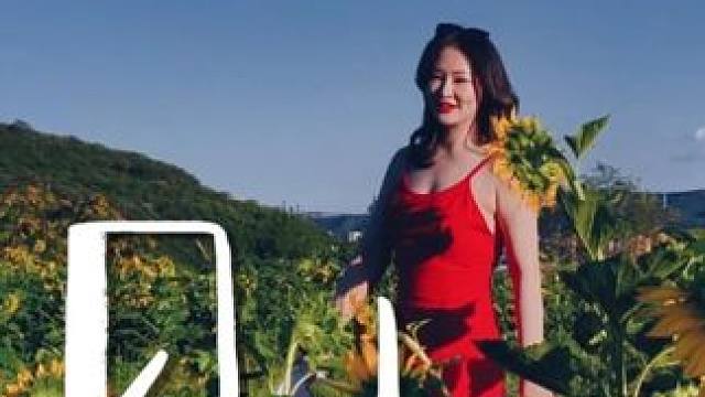 山不见我我见山 下午的向日葵齐刷刷的背对太阳，只有零星的几朵朝向太阳。