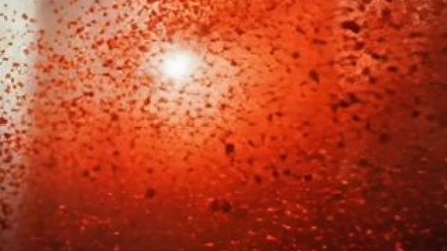 花会枯萎爱永不凋零 #羽毛球 #转场