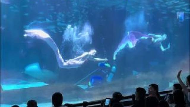 暑假遛娃就来成都极地海洋公园，嗨玩一整天 #海合安夏日生活节#鲸彩蜀于你我#成都极地海洋公园#在城市