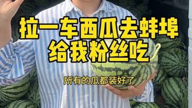 自己家种的西瓜 新鲜现采摘 今天拉一车西瓜去蚌埠给我同城的姐妹们尝尝 下午一点钟来我店里 吃瓜了！又