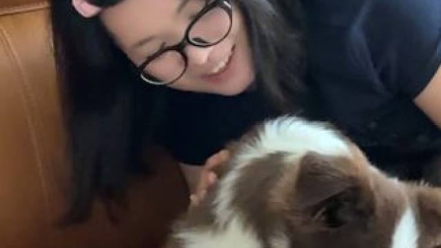 养狗后最好剪的视频出现了 #情侣日常 #vlog日常 #边牧