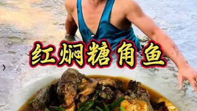 夏日的红闷塘角鱼 让你回味无穷 #下饭菜 #乡村味道 #农家菜 #舌尖上的味道 #农村生活
