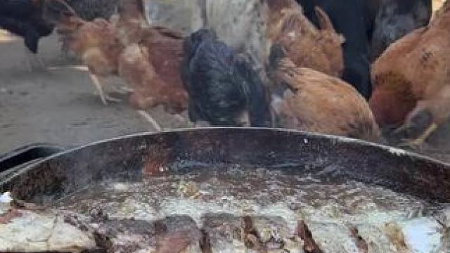 户外野餐 #我的乡村生活 #原创视频 #原生态乡村生活 #日常生活 #农村美食记录生活