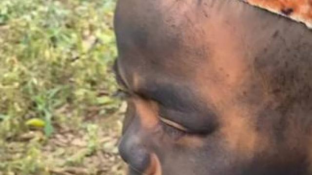 哈哈嘟嘟困来了 #我的乡村生活 #原创视频 #日常生活 #宠物迷惑行为大赏