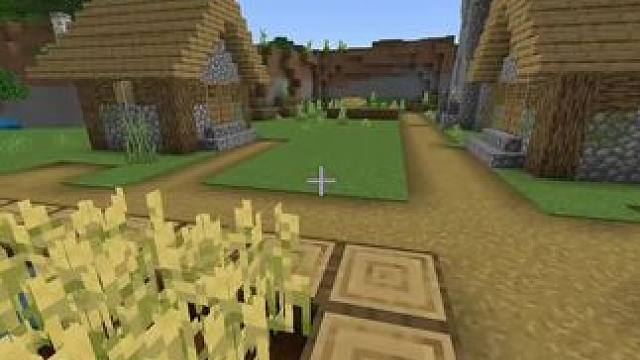 #我的世界 #MC 我知道你在找什么#minecraft #生存