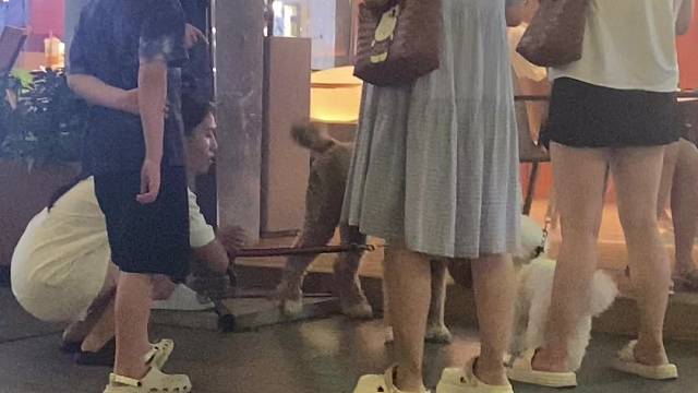 巨贵哆哆日常被研究的一天