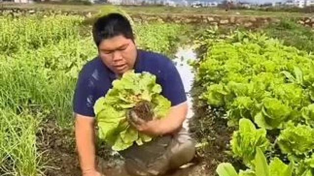 80后无腿父亲，用双手撑起一片天，独自供孩子上学，坚强不屈的精神，赢得了无数网友的称赞！#农民工不容