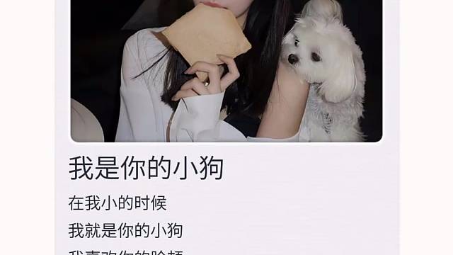 所以，我的小狗在哪里啊？