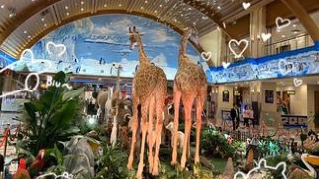 暑假快乐，出发玩吧 #亲子游玩好去处 #周末去哪玩 #快乐就这么简单 #日常vlog #旅行推荐官