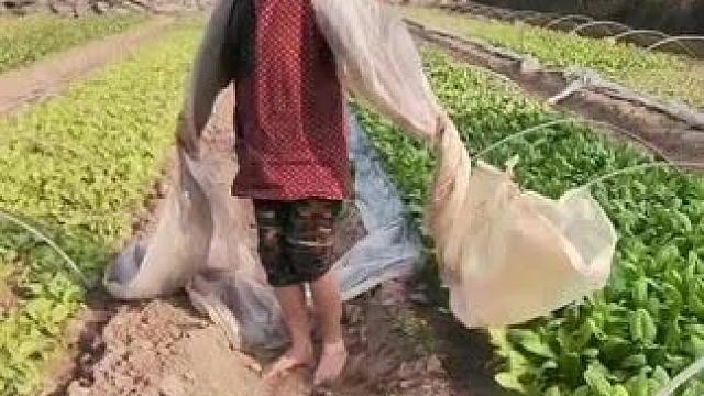 山卡卡里的农村大姐学费了开直播每天收获满满您还在恐播怕播不敢开播开播了不知说什么吗#记录真实生活 #