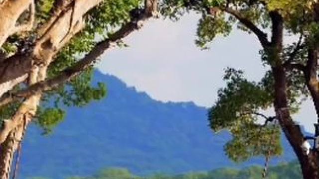 早上好#美丽的大自然风光