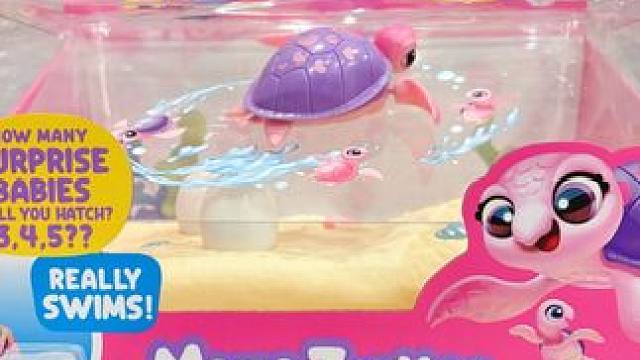 有了这个小乌龟再也不担心养不活小宠物啦❗️ #我的玩具分享 #大人也要玩玩具 #zuru #zuru