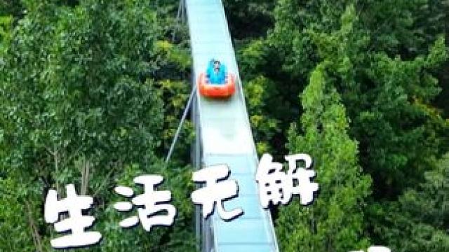 花有重开日，人无再少年！抓住这个暑假的小尾巴，逃离城市感受大自然！
#亲子游玩好去处 #游山玩水释放