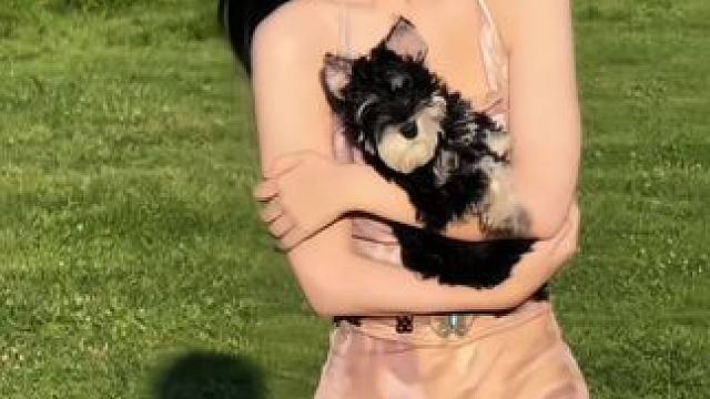 待她笑颜如花 #待她笑颜如花 #纯欲天花板 #夏日穿搭