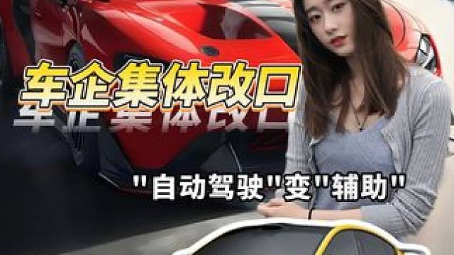 车企集体改口自动驾驶变辅助#新能源汽车  #智驾改名  #辅助驾驶  #安全第一