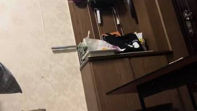 #萌宠 #卡卡西 #配音 #声控 #声优都是怪物 抽象一下等晚上删掉哈