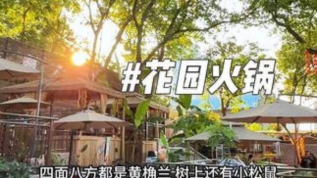 食材很讲究的花园火锅，环境巨好 #松鼠花园火锅 #火辣重庆更美的 #吃喝玩乐