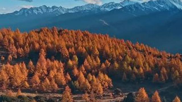 请你看稻城亚丁的秋天的第一张照片。#请你看秋天的第一张照片 #机位天才已就位
