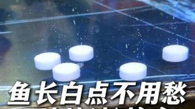 新手养鱼看到白点别发愁，升温加盐两招搞定！ #观赏鱼专用盐 #水族盐 #鱼缸净水 #水族爱好者 #新