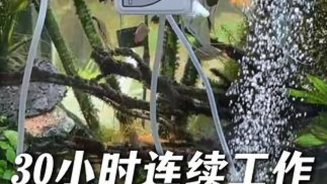 长续航增氧泵，家里养鱼、户外钓鱼必备，关键是价格超划算。 #鱼缸氧气泵 #增氧泵  #迷你增氧泵  