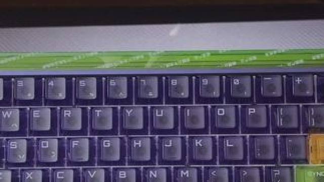 骚键盘，一天勾引我 800 遍！ #游戏外设 #磁轴键盘 #数码科技 #EVA #csgo