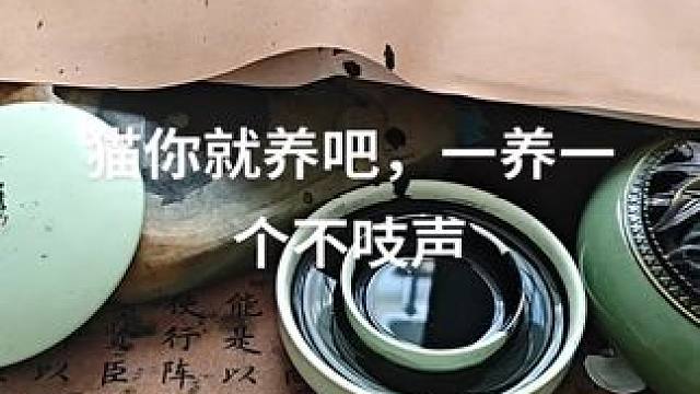 一养一个不吱声 