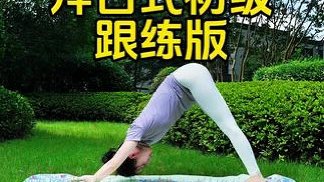 拜日式初级跟练版#瑜伽教学