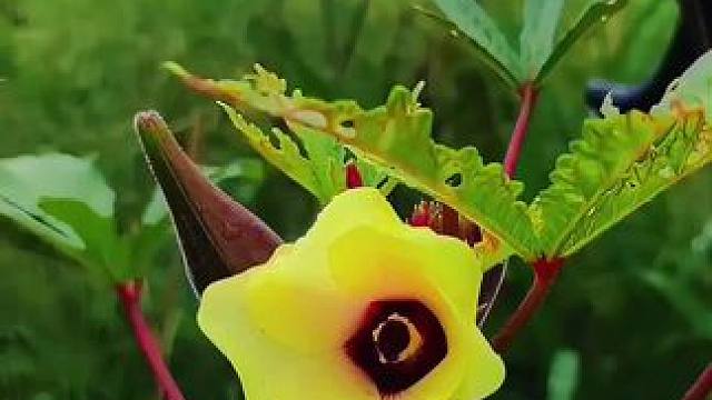 #夏天过去了秋天来了