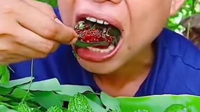 新鲜小苦瓜凉拌鲜牛肉 #美食 #户外美食 #泰国美食 #内容启发搜索